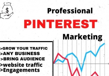 I will promote your product or website to my pinterest audience