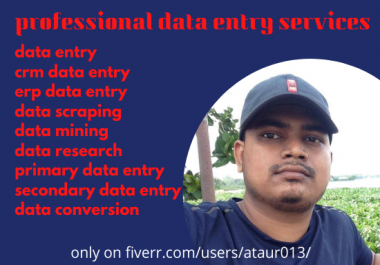 I will do data entry, copy paste, data conversion