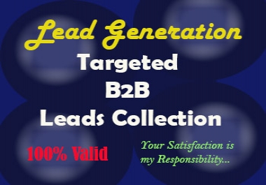 I will do 100 B2B Lead Generation with 100 valid email list.