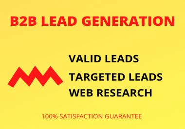 I will do B2B targeted niche lead generation