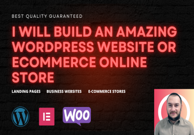I will build an amazing WordPress website or e-commerce online store