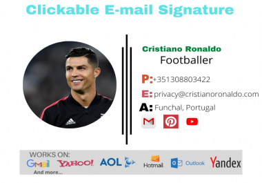 I will provide Clickable Professional HTML E-mail Signature For You