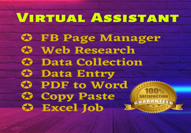 I will be your Best Virtual Assistant,  Data Entry,  Web Research,  Any Kind of Leads etc