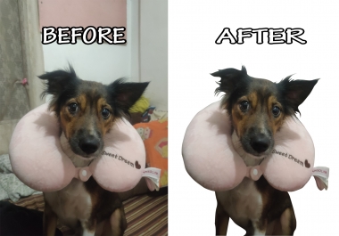 I will do mass background removal for you