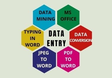 I will do data entry copy past MS office work for you in a short time