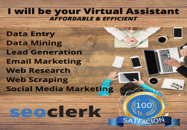 Affordable & Efficient Virtual Assistant in 24/7