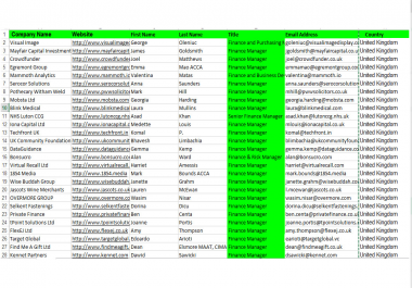 I will do B2B lead generation database