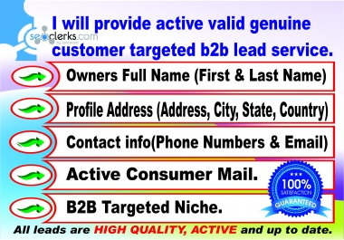 I will do b2b,  b2c,  targeted customer lead service