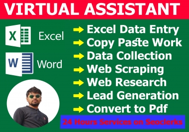 I will do data entry,  typing,  copy paste,  data collection