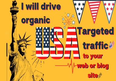 I will drive 2000 organic USA targeted traffic to your web or blog site