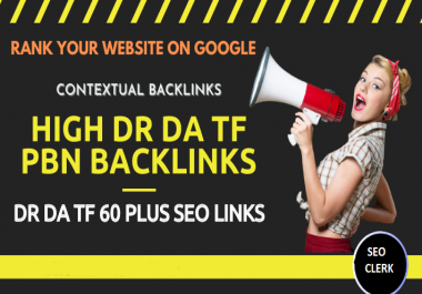 Extremely Powerful Seo PBN Homepage High DR DA And TF Permanent Backlinks For First Page Rank