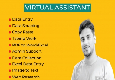 do any virtual assistant,  copy paste and data entry job