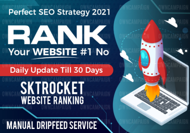 Rank Your Website on Google, 29 days SEO Backlinks Manual