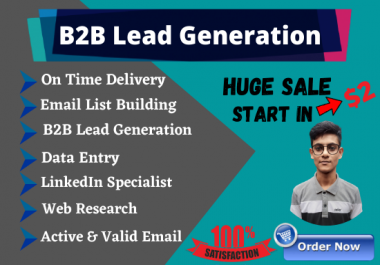 I will do b2b lead generation,  web research,  data entry for your business