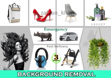 I will do 50 images background removal and fast delivery