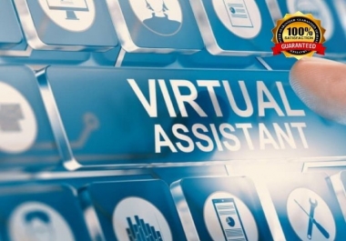 I will be your professional business or personal virtual assistant