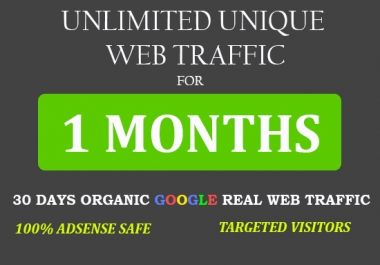 Unlimited Unique Website Traffic visitors for 1 month