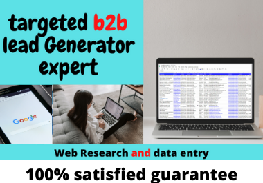 I Will do targeted linkedin and google b2b lead generation.