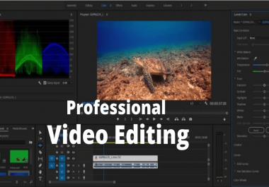 I will do professional video editing 12 hours