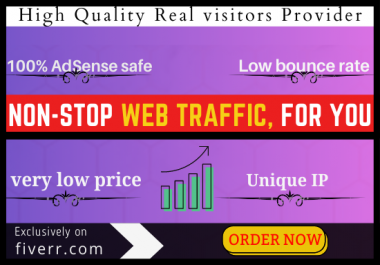 4,000 Hight quality real visitors Adsense safe and organic web traffic