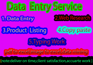 I will do fast excel data entry and web research