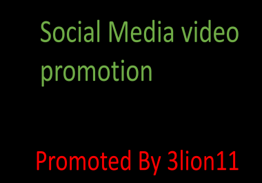 Super fast Social media promotion service by 3lion11