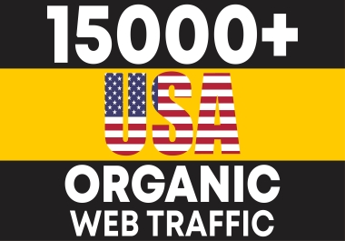 keywords targeted USA web traffic real Google organic visitors