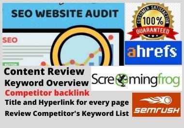 I will Provide Professional SEO Audit report for your Website
