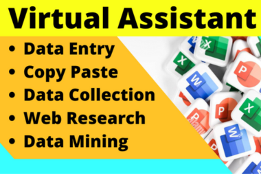 I will do data entry web research,  copy paste and virtual assistant