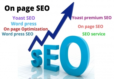I can do good quality on page SEO expert
