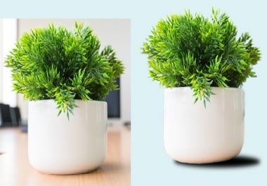 I do background remove,  image correction and jewelary retouch