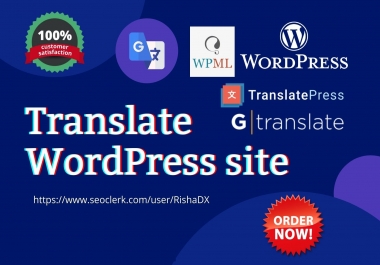 I will translate your wordpress website