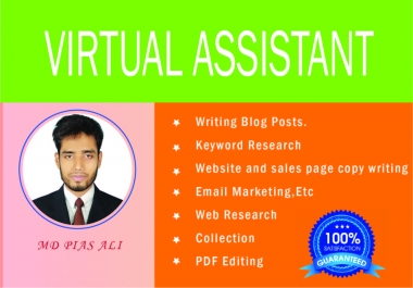 I will Do your professional and personal virtual assistant
