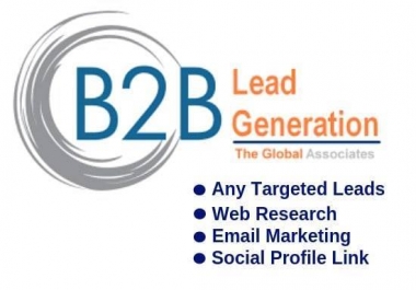i will do web research,  b2b lead generation and data entry within 24 hours