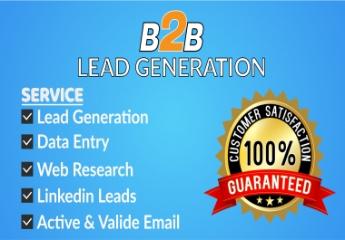 I will do b2b lead generation and data entry