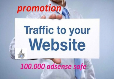 I will bring real traffic,  real visitors