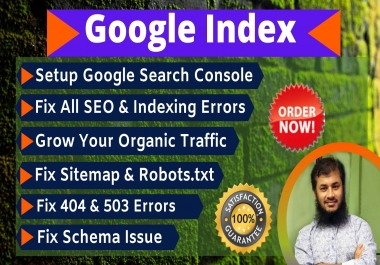 Ready to Fixing Google Index & Search Console Errors