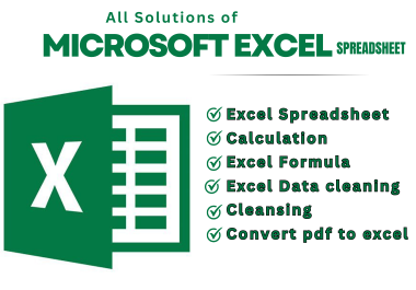 I will do excel data cleaning,  excel sheet reformatting and Cleansing
