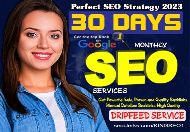 30 Days Monthly SEO Service Drip Feed Daily High Da Backlinks Top Ranking