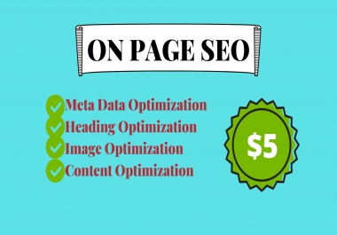 I will do on page SEO optimization