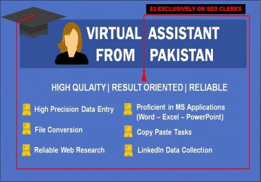 I will be your dynamic Personal Virtual Assistant from Pakistan