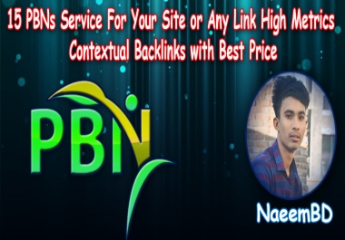 15 PBNs Service For Your Site or Any Link High Metrics Contextual Backlinks with Best Price
