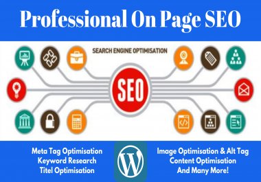 Professional On Page SEO for Google Ranking in 2021