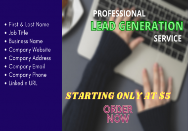 I will do b2b lead generation and build targeted contacts list