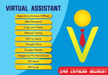 I will do your data entry and be your virtual assistant