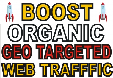 i will drive 30,000 adsense safe targeted organic traffic usa website traffic