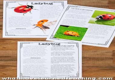 Writing 1000 words about animals in a 100 exclusive way