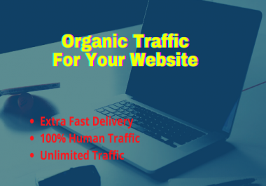 I will provide organic human traffic by using your keywords