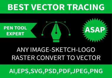 I will professionally convert any image to high resolution vector