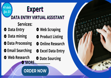 I will do Web Scraping,  Data Mining,  Web Research,  Market Research,  and more as an Expert Data Entry